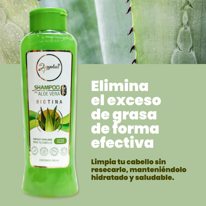 Shampoo Aloe Vera Anyeluz REF 277